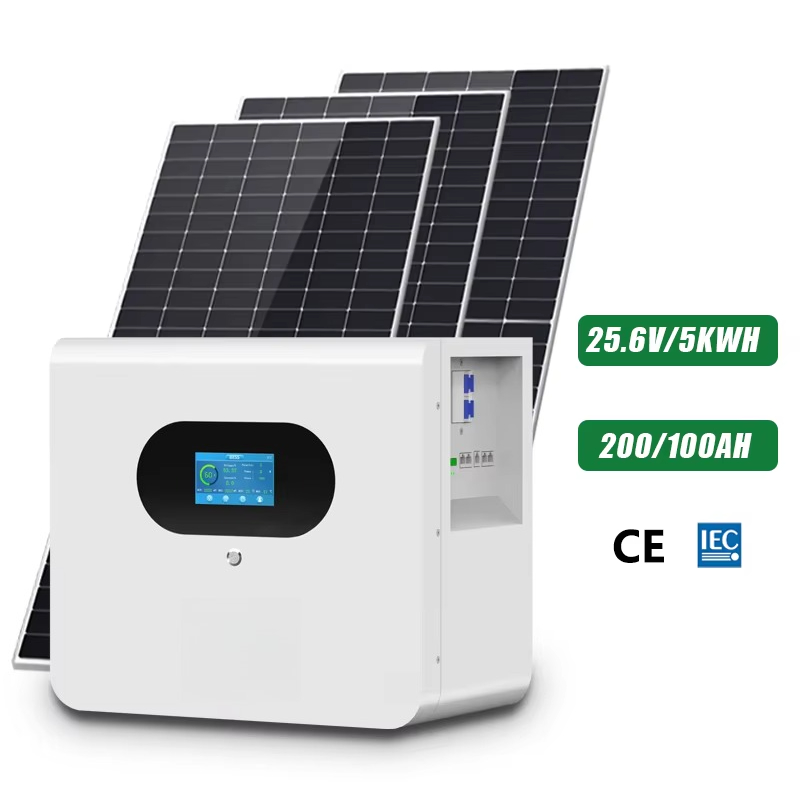 Lithium Battery 100Ah - Гибридный литий-ионный аккумулятор для домашнего хранения