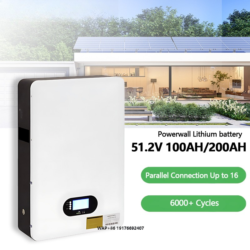 Lithium Battery 100Ah - Литиевая аккумуляторная батарея LiFePO4 48В 51.2В