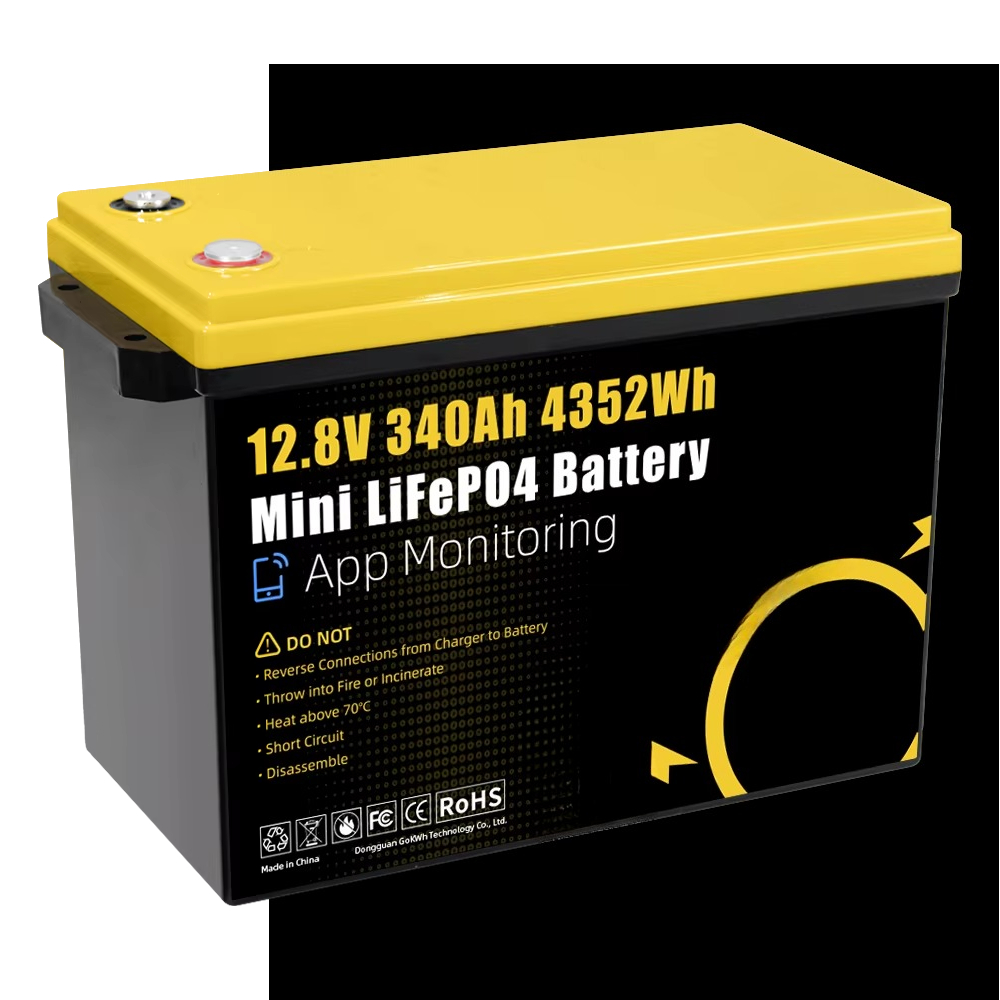 GoKWh Marine 12 В Lifepo4 Лити – обзор и цена Lithium Battery 100Ah