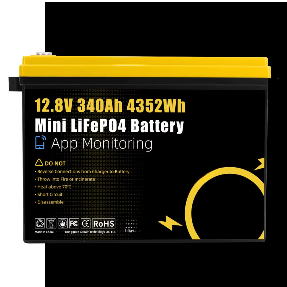 GoKWh Marine 12 В Lifepo4 Лити – обзор и цена Lithium Battery 100Ah