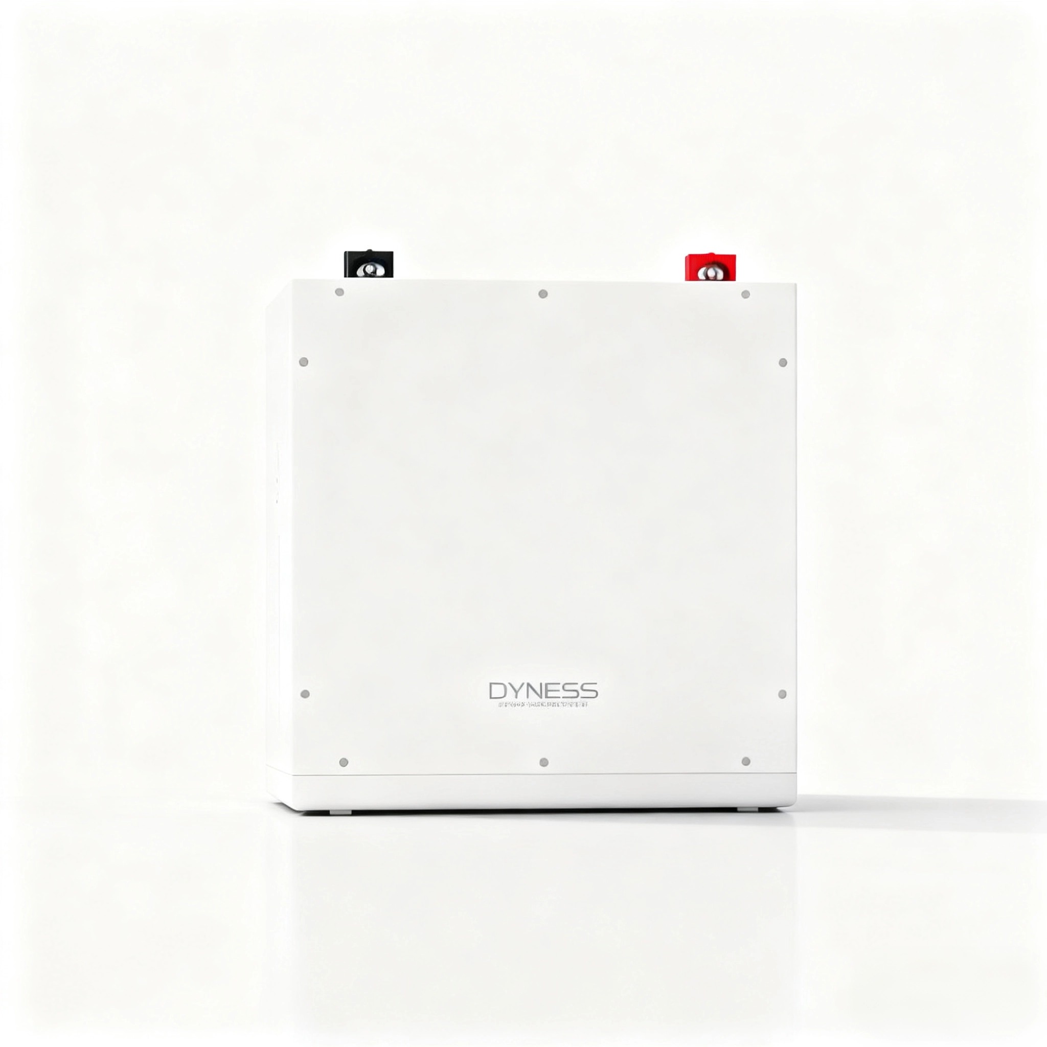 Литий-ионный аккумулятор Dynes – обзор и цена Lithium Battery 100Ah