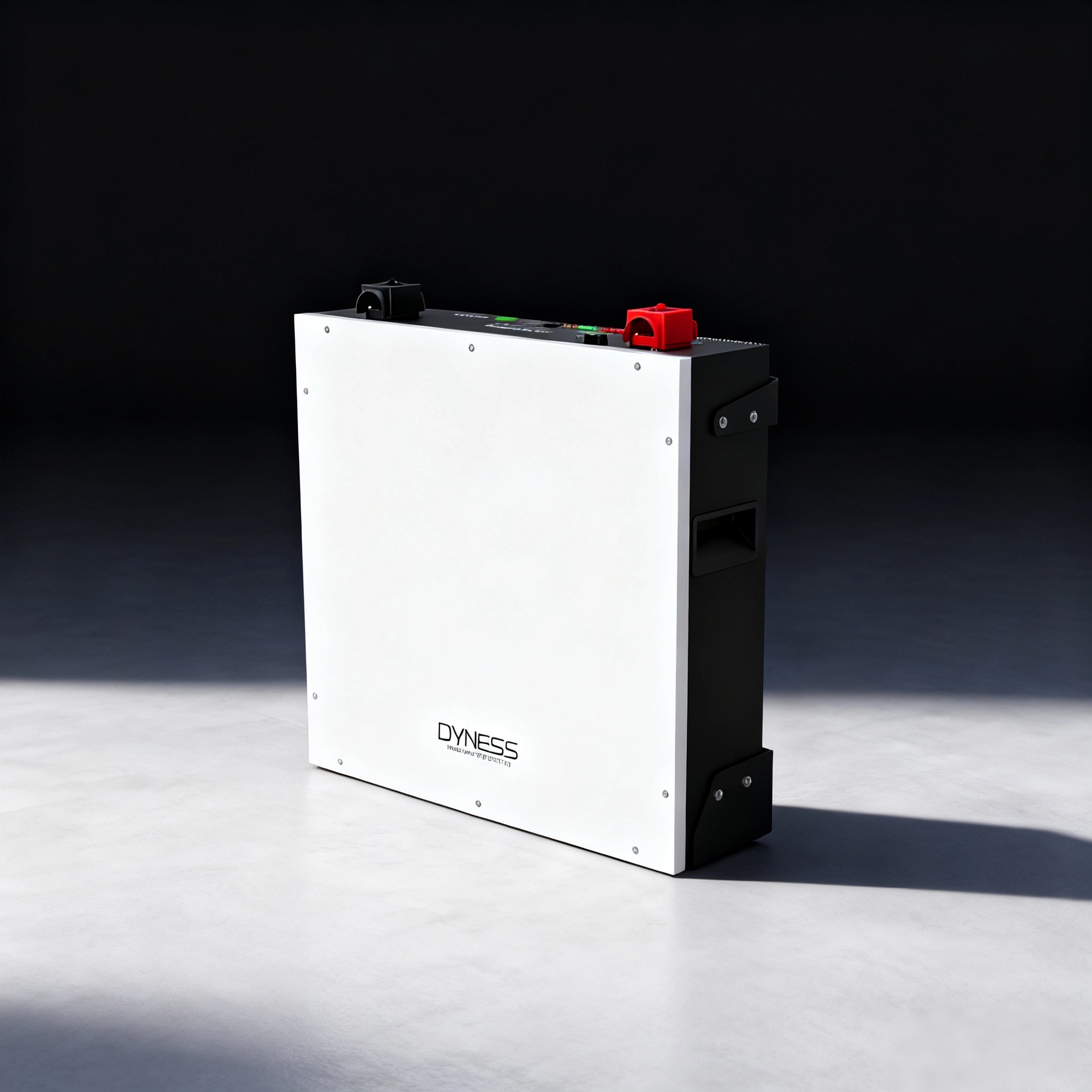 Литий-ионный аккумулятор Dynes – обзор и цена Lithium Battery 100Ah