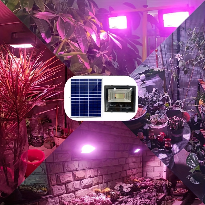 Фотолампа с солнечной батареей – обзор и цена Renewable Energy Project